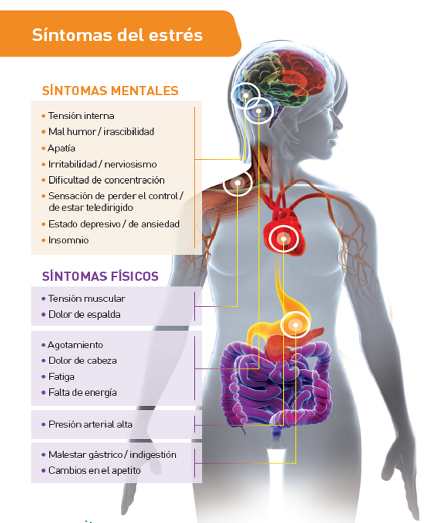 Jornada de eststress. Haz algo para el estrés, hazlo ya