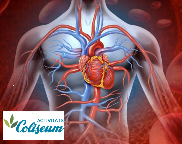 Sábados de Salud Coliseum. Curso Básico de Medicina Celular: ¿Qué es la Medicina Celular?