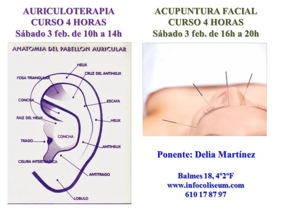 Curso MTC doble: Auriculoterapia (4h) + Acupuntura Facial (4h)