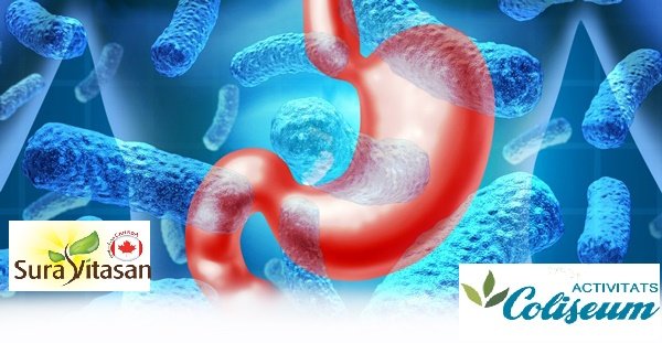 Probióticos: Los beneficios  frente a la depresión y el estrés