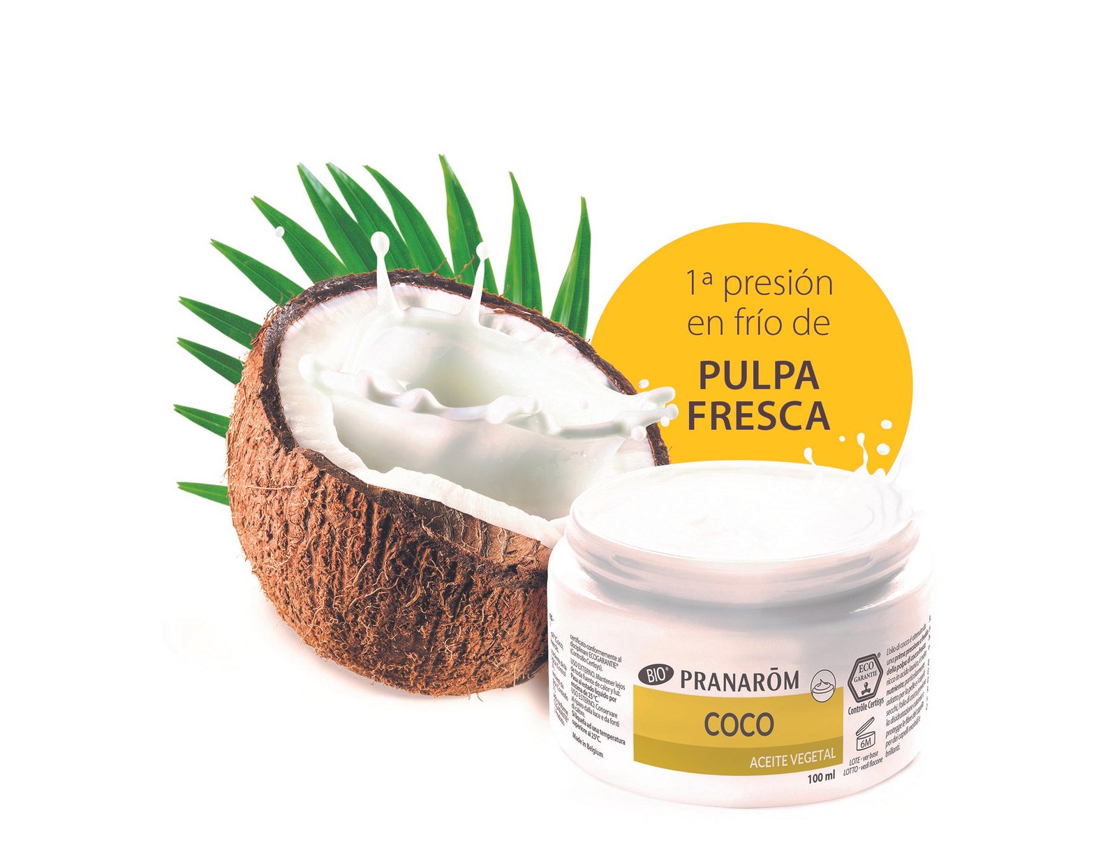 Taller: Aplicaciones y beneficios del aceite vegetal de coco para la piel