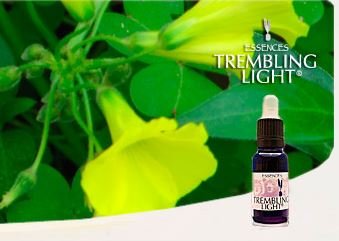 Mimón Trembling, Curso TREMBLING LIGHT ESSENCES en cómodos módulos: Uso práctico de las Esencias para la Evolución Personal y Colectiva