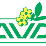 Durmiendo con sus hongos. AVD