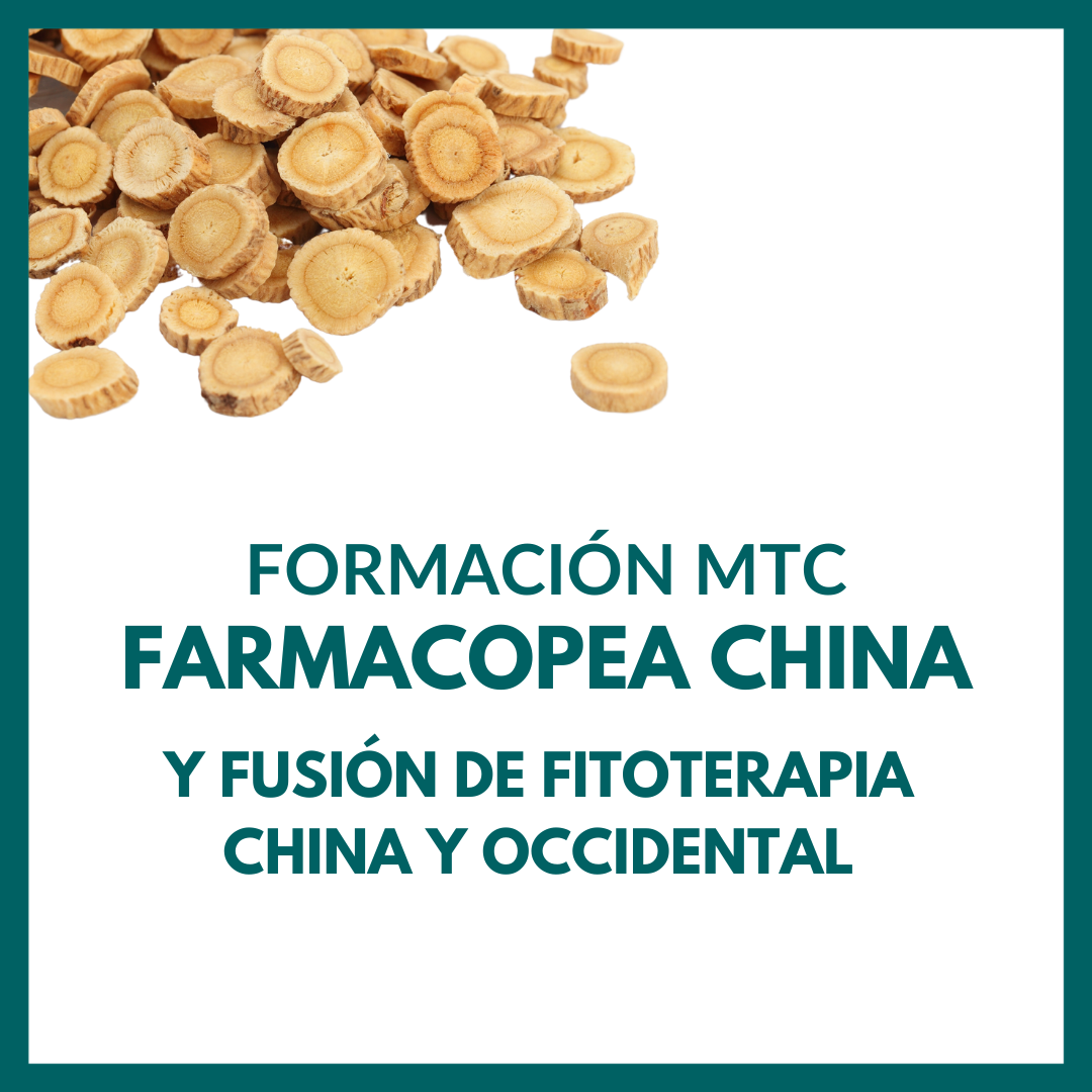 Las principales fórmulas de Fitoterapia Tradicional China. Erlingen. Dirigido a Profesionales de la Salud