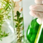 Alquimia y Espagiria. Estrategia terapéutica. Herboplanet