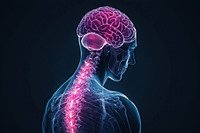 Dolor en la Sensibilización Central. ONLINE. Dirigido a Profesionales de la Salud