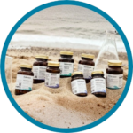 El Poder del Mar para tu Inmunidad Invernal.